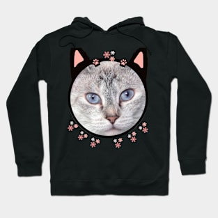 Kitty in rosa with blue eyes Hoodie